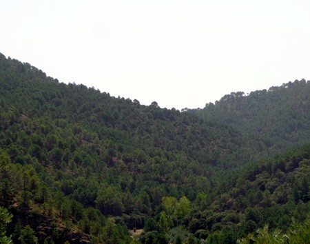 Cauce alto del r�o del Carpio, en la zona del Nacimiento