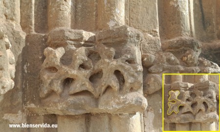 Hojas de ran�nculo