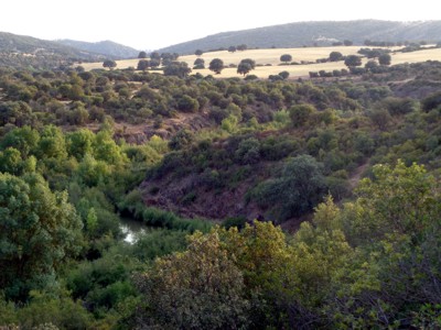 Vista desde Fuencaliente (Bienservida) del paso del Guadalmena defendido (al fondo).