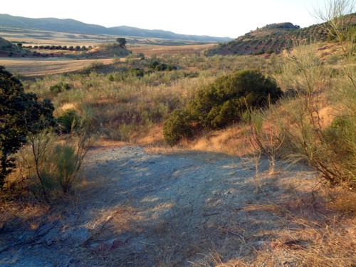 Restos de mineral de cobre en el lugar donde estuvo la entrada de una mina en la Puebla
