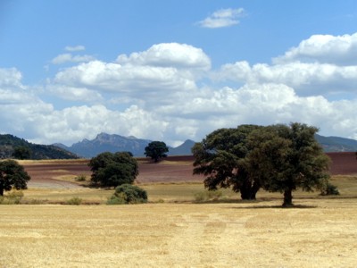 Dehesa de Pel�ez y Turruchel.