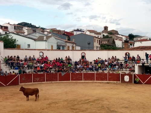 Vaquillas en la plaza de toros de Bienservida. Septiembre de 2019.
