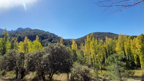 Panor�mica del lugar donde se encontraban los dos pozos de la nieve