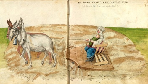 Mujer con hijo trillando hacia 1550