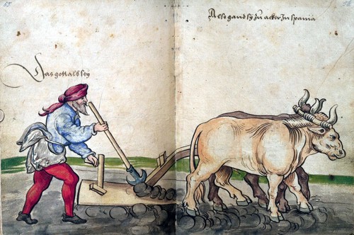 Labrador espa�ol del siglo XVI