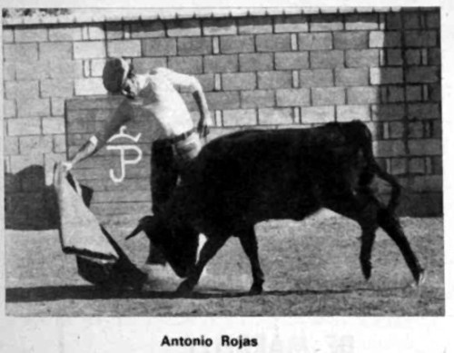 Tentadero en Bienservida. Antonio Rojas. 31/12/1974