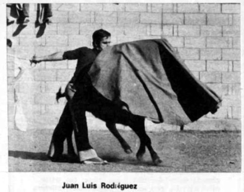 Tentadero en Bienservida. Juan Luis Rodriguez. 31/12/1974