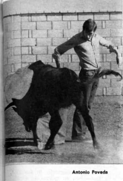 Tentadero en Bienservida. Antonio Poveda. 31/12/1974