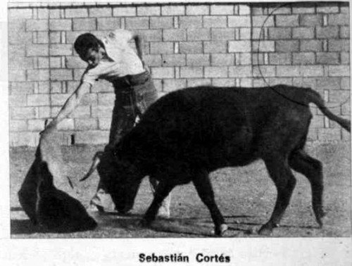 Tentadero en Bienservida. Sebasti�n Cort�s. 31/12/1974