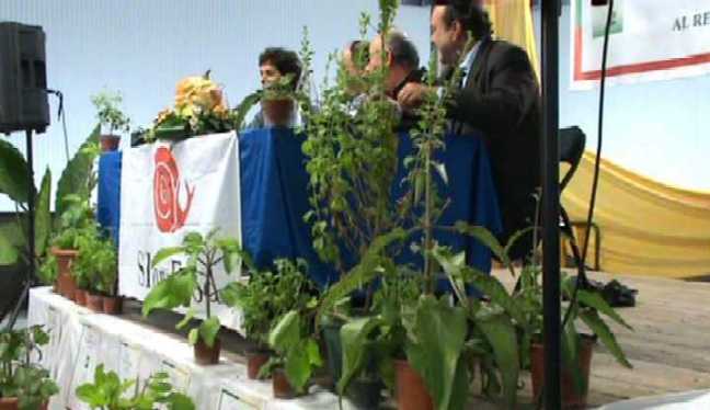 Un momento de la conferencia sobre la Stevia