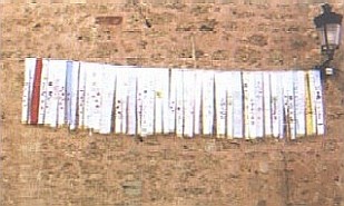 Exposicion de las cintas 2006